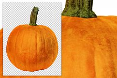 Pumpkin - Vintage Illustration Product Image 2
