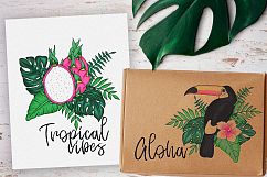 Tropics forever! Vector set Product Image 2