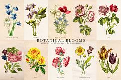 Botanical Blooms and Monograms Product Image 8