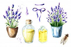LAVENDER. Watercolor collection Product Image 5