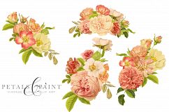 Petals &amp; Paint - Floral Clip Art Product Image 3