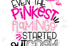 Even the Pinkest Flamingo Started out Grey SVG Product Image 2