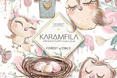 Forest Owls Clipart Product Image 5