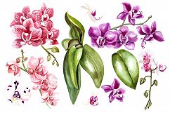 Hand Drawn Watercolor BUNDLE 5 Product Image 19