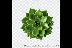 100 Real Vivid Succulent Clip Arts, Botanical Kit Garden Product Image 3