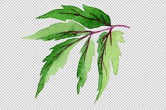 Tender pink peony PNG watercolor set Product Image 4