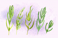 Watercolor Provence Clip Art Set Product Image 4