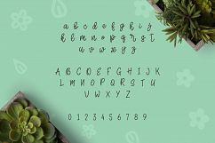 Herbie - A Flowery Font Product Image 2