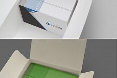 Realistic Business Card Mockups Product Image 8