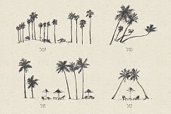 227 hand drawn palms + BONUS Product Image 6