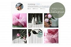 10 Pink peonies, styled stock photos Product Image 3
