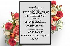 Gabias Script Product Image 3