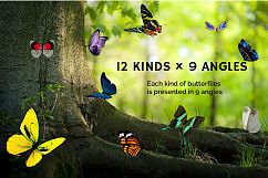 112 Butterfly Photo Overlays 2.0 Product Image 3