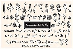 Botanicals And Swirls Product Image 1