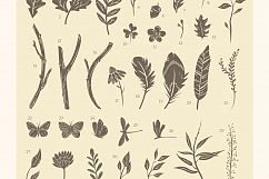 Songbirds graphic collection Product Image 5