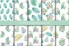 Tropical watercolor set 3. Plumeria Product Image 5