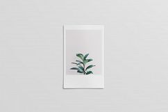 Polaroid Mockups Set Product Image 9