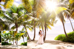 20 Sunlights with Flares Product Image 3