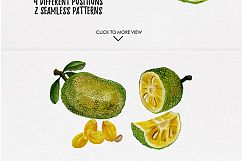 watercolor fruit vol.7 Product Image 2