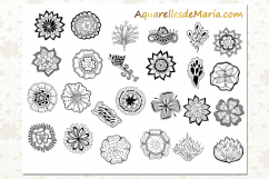 Flower Vector Clipart Collection Product Image 2