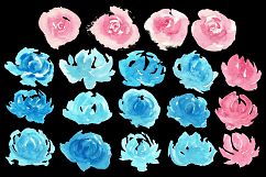 19 Loose Botanicals - Blue and Pink Product Image 3