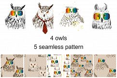 Fashion owls set Product Image 2
