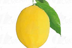 Watercolor lemons, branch and leaves clip art pack, watercolor lemon clip art, exotic fruit, png, pdf, jpg, svg, eps, vector files included. Product Image 4