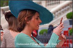 Technicolor Profiles LR7.3 ACR10.3 Product Image 13