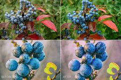 Berries Lr Presets Product Image 3