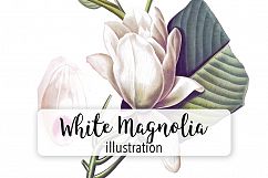 Florals - Vintage White Magnolia Product Image 1