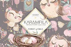 Forest Owls Clipart Product Image 4