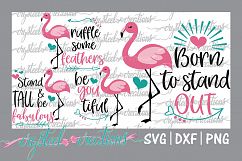 Flamingo Bundle Product Image 1