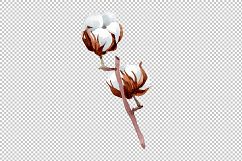 Cotton soft flower PNG watercolor set Product Image 3