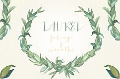 Laurel foliage wreaths. Watercolor. Product Image 3