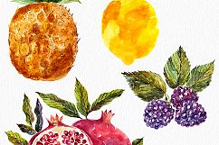 Watercolor vegetables &amp; fruits Product Image 3