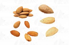 Nuts clip art pack, Watercolor nuts chart, food print Product Image 3