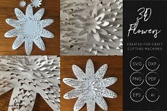 3D Flower SVG Cut Files - Flower SVG - Layered Flower DXF Product Image 6