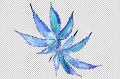 Cannabis leaves PNG watercolor set Product Image 4