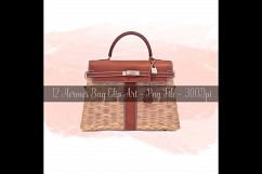 12 Painted Luxury Bags Clip Arts, Fashion and Roses Clip Art Product Image 5