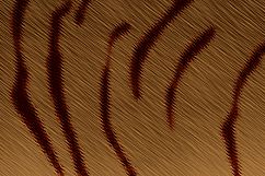Tiger Abstract Background Product Image 1