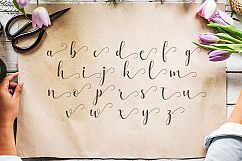 Alyshia Script Product Image 4