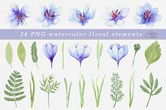 Saffron set. Watercolor. Product Image 2