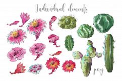Watercolor Cactus Creator Pattern Product Image 3