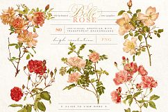 Belle Rose Antique Graphics Bundle Product Image 8