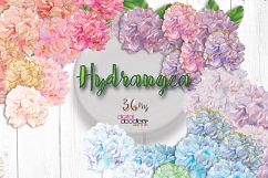 Ultimate Hydrangeas  Product Image 3