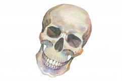 One skull PNG watercolor set Product Image 1