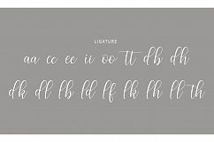 Nostalgia Script Product Image 9