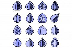 Figs icons set vector flat Product Image 1