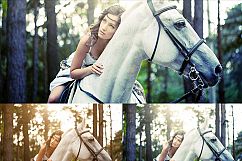 1850 Photoshop Actions Product Image 13