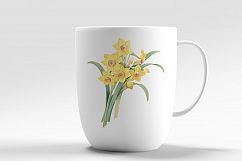 Florals - Vintage Yellow Daffodil Product Image 2